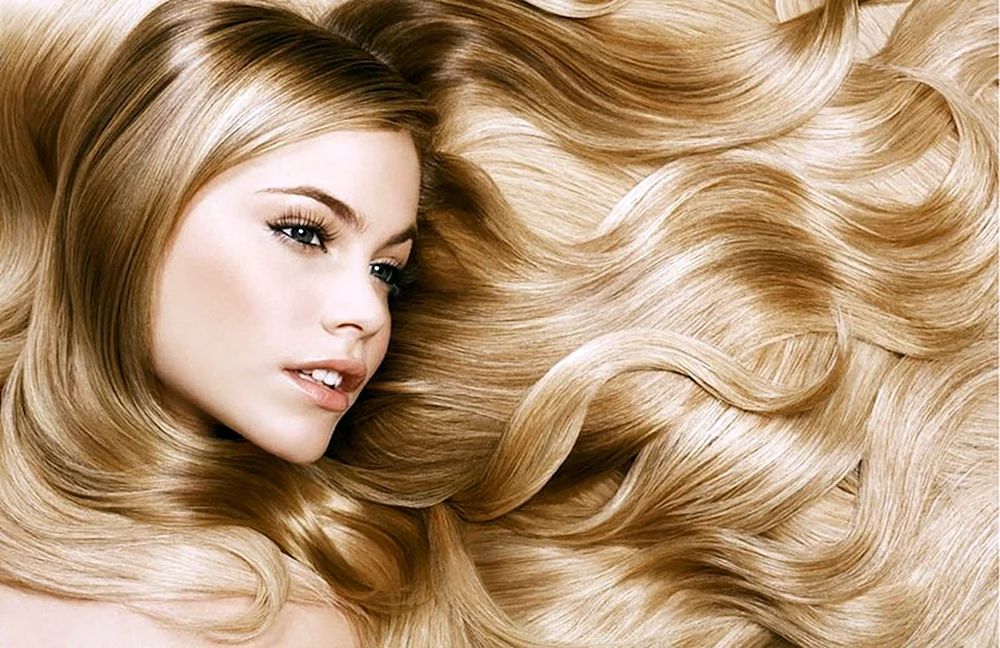Vella Blond Vella Blond