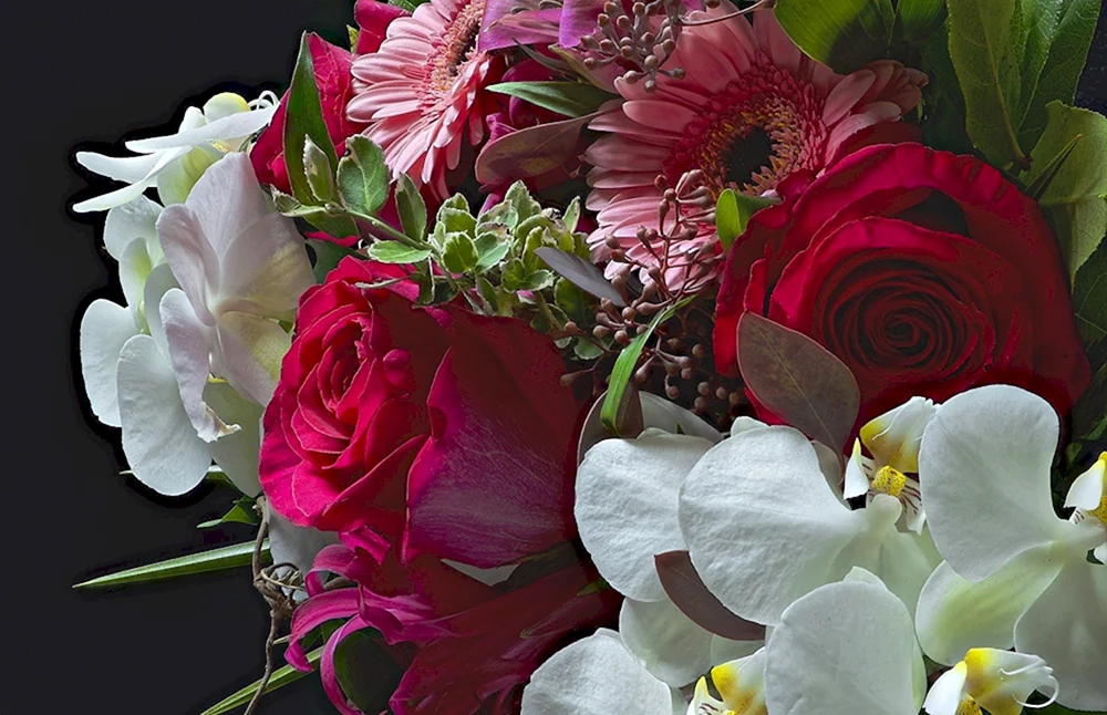 Schöne Blumen