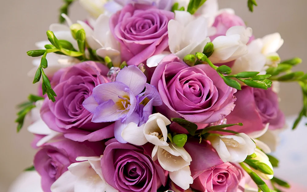Carnations