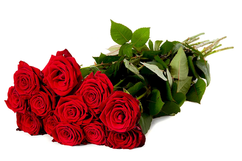 Schöner Rosenstrauß