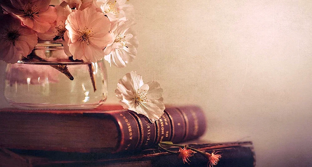 Schöner Hintergrund mit Büchern