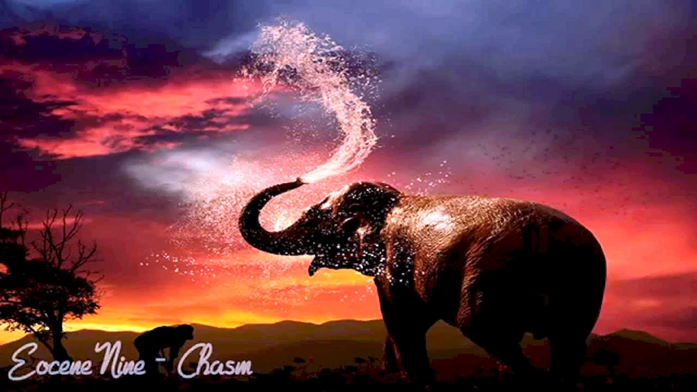 Afrikanische Wildtiere
