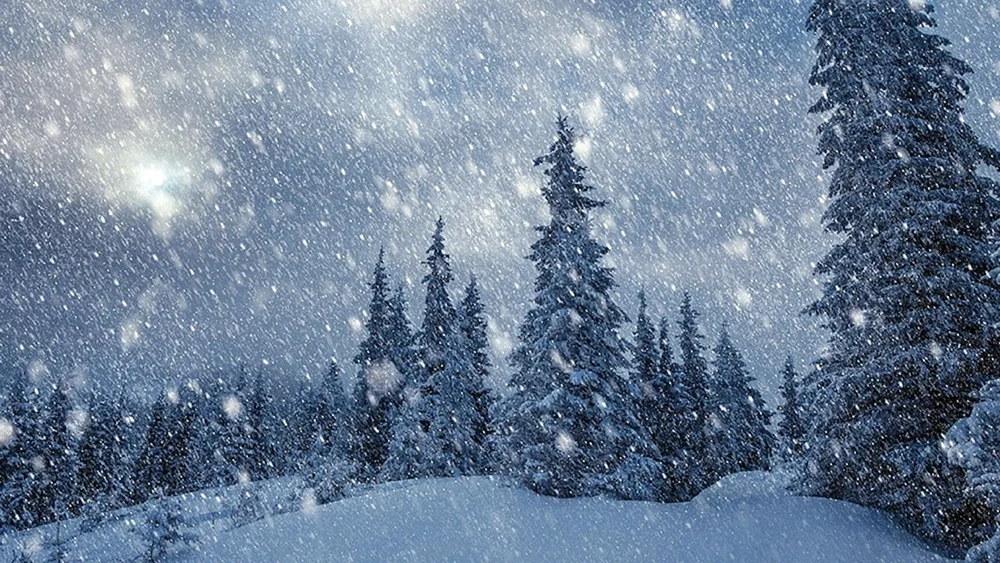 Schönster Schneefall
