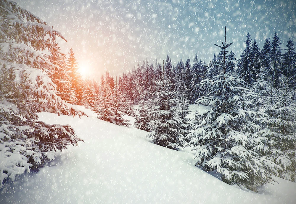 Winterschneefall