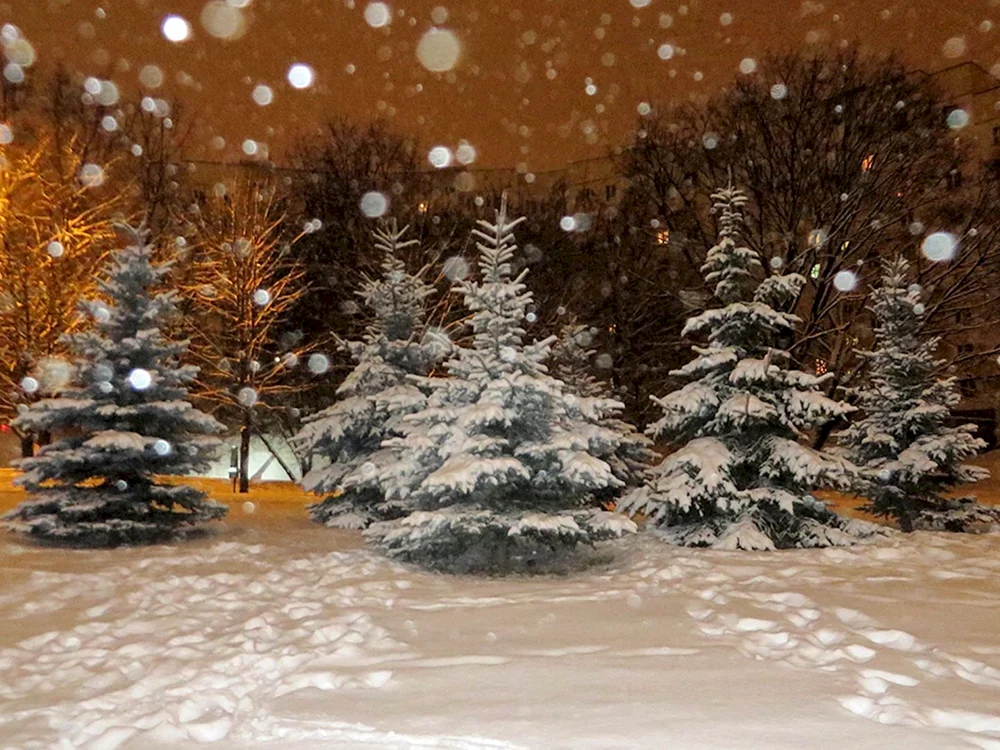 Schnee kommt.