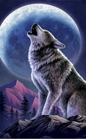 Schöner Wolf