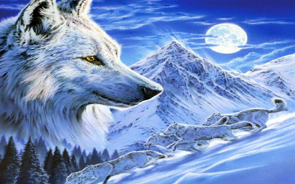 Schöner Wolf