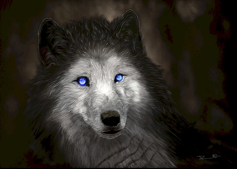 Schöner Wolf