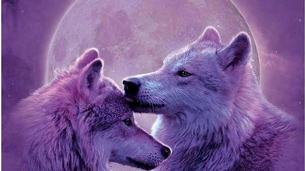 Wolf und Wolfsliebe