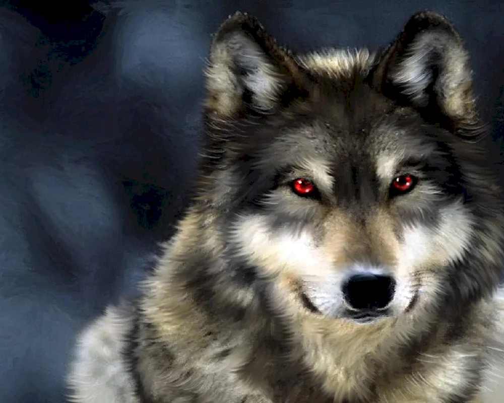 Wolf Roxanne