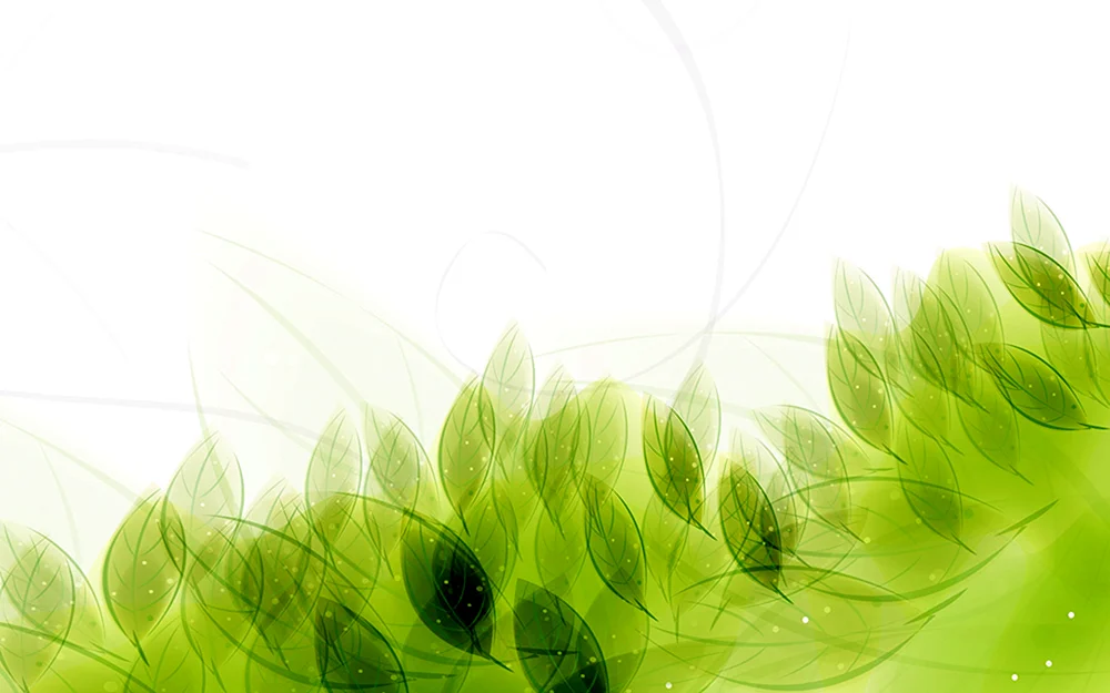 Grüner Pflanzenhintergrund