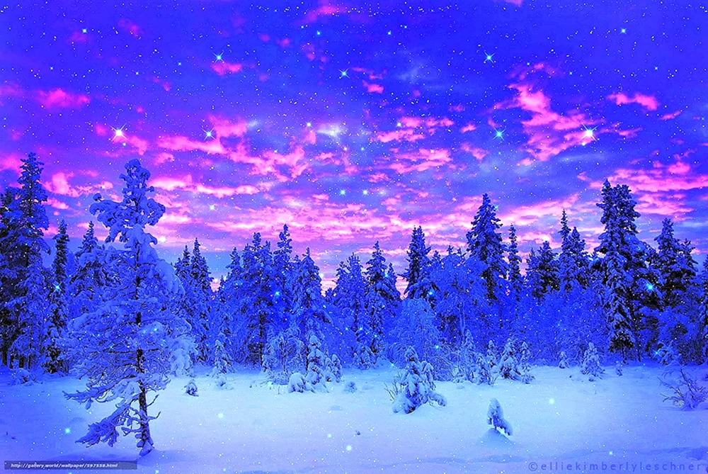 Schöner Winterwald