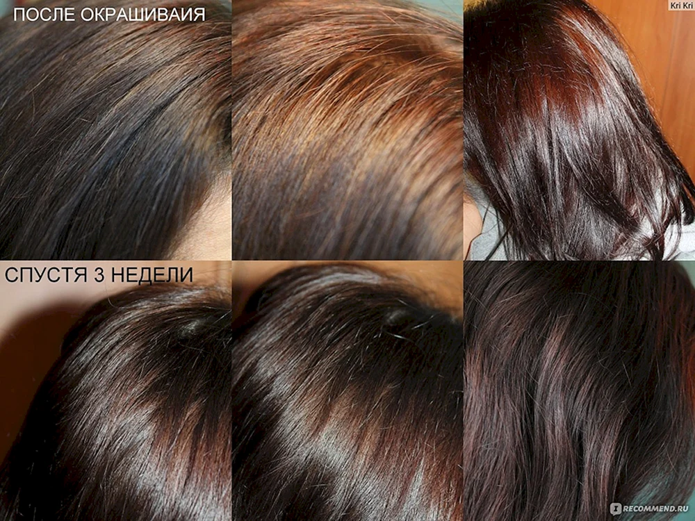 Matrix SOCOLOR Palette