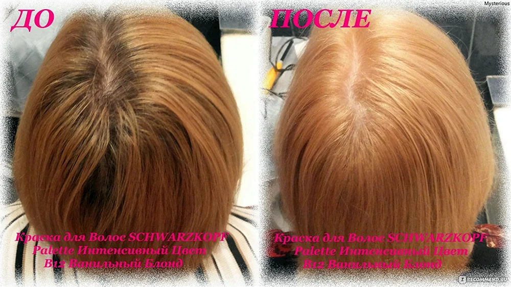 Vella coleston Perfect dye 1261
