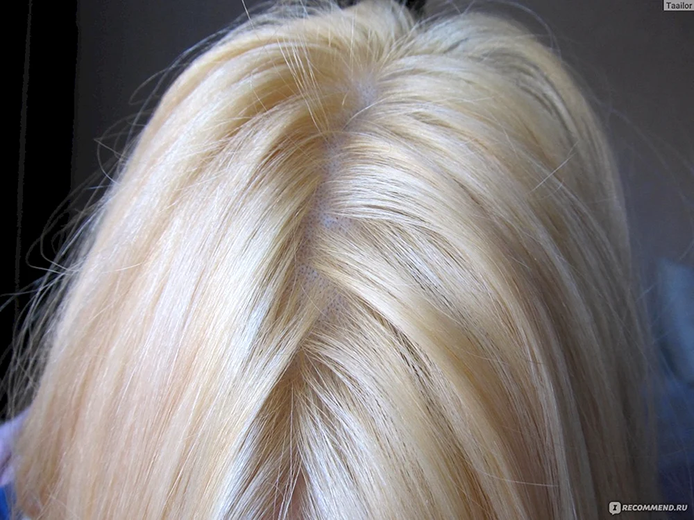 Estel Palette blond