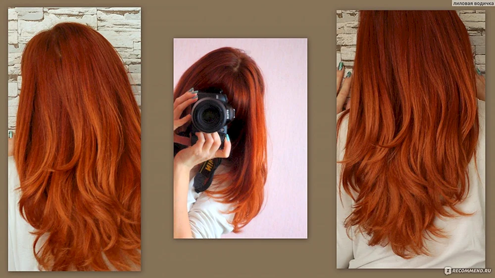 Estel Haarfarbe Rot Palette