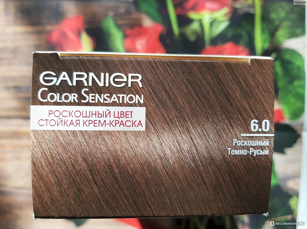 Garnier 6.0