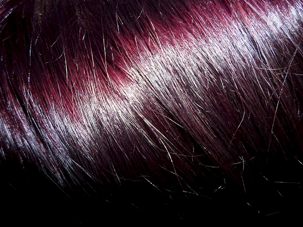 Marsala bordeaux Haarfarbe
