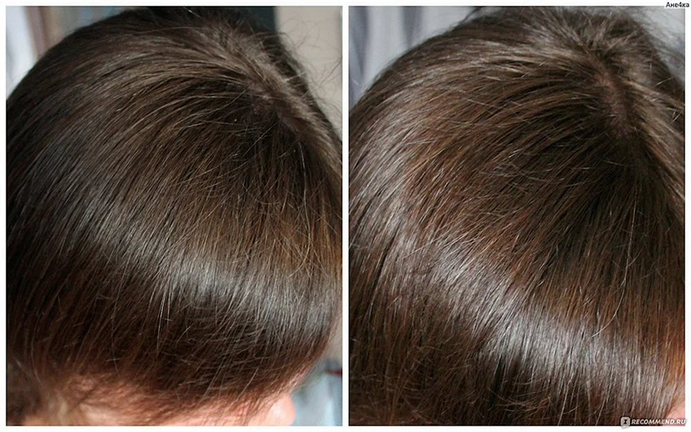 Garnier Haselnuss Haarfarbe