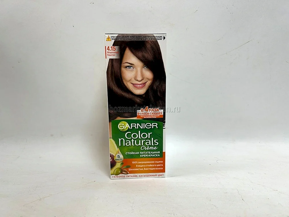 Garnier Frosty Chestnut
