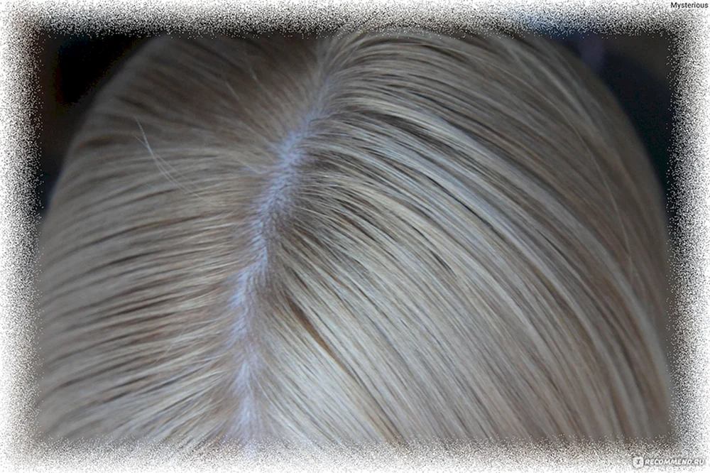 Prestige Arktisblond Färbung