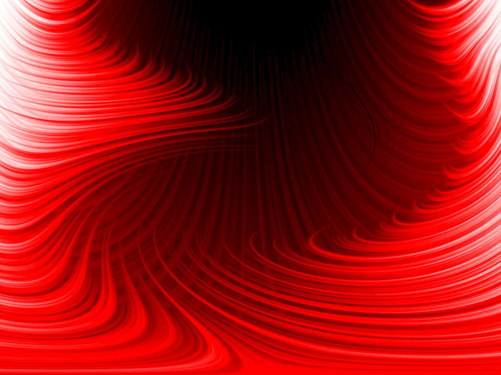 Früchte auf schwarzem Hintergrund Bilder