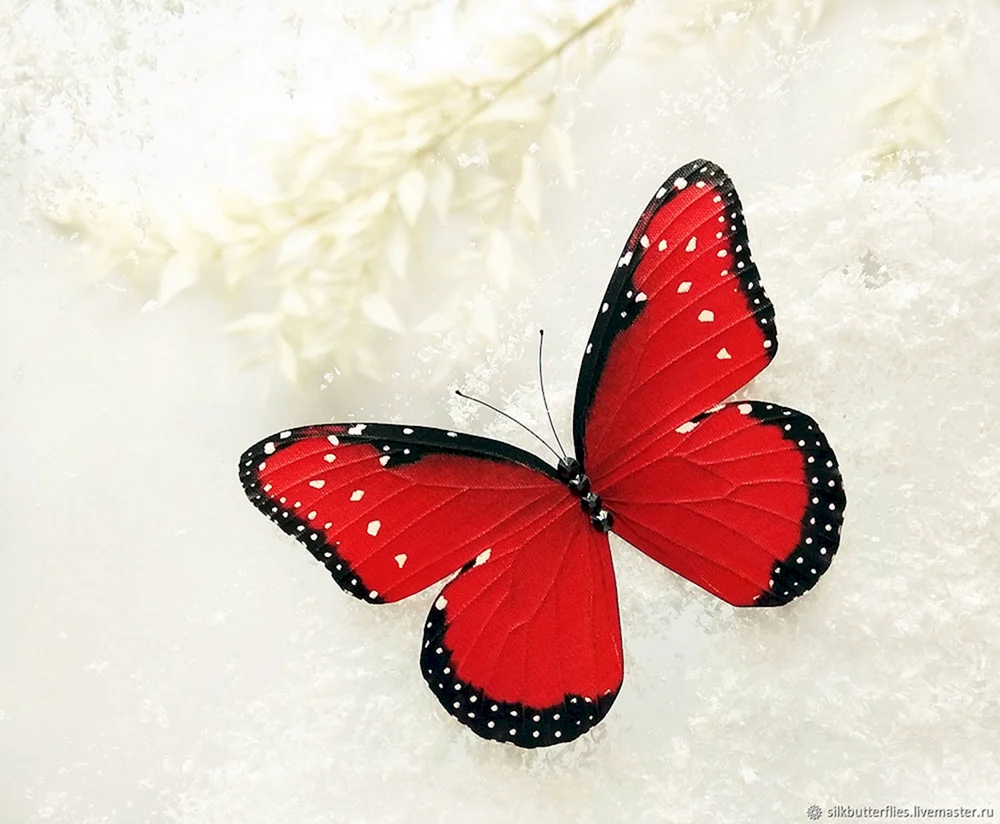 Roter Schmetterling