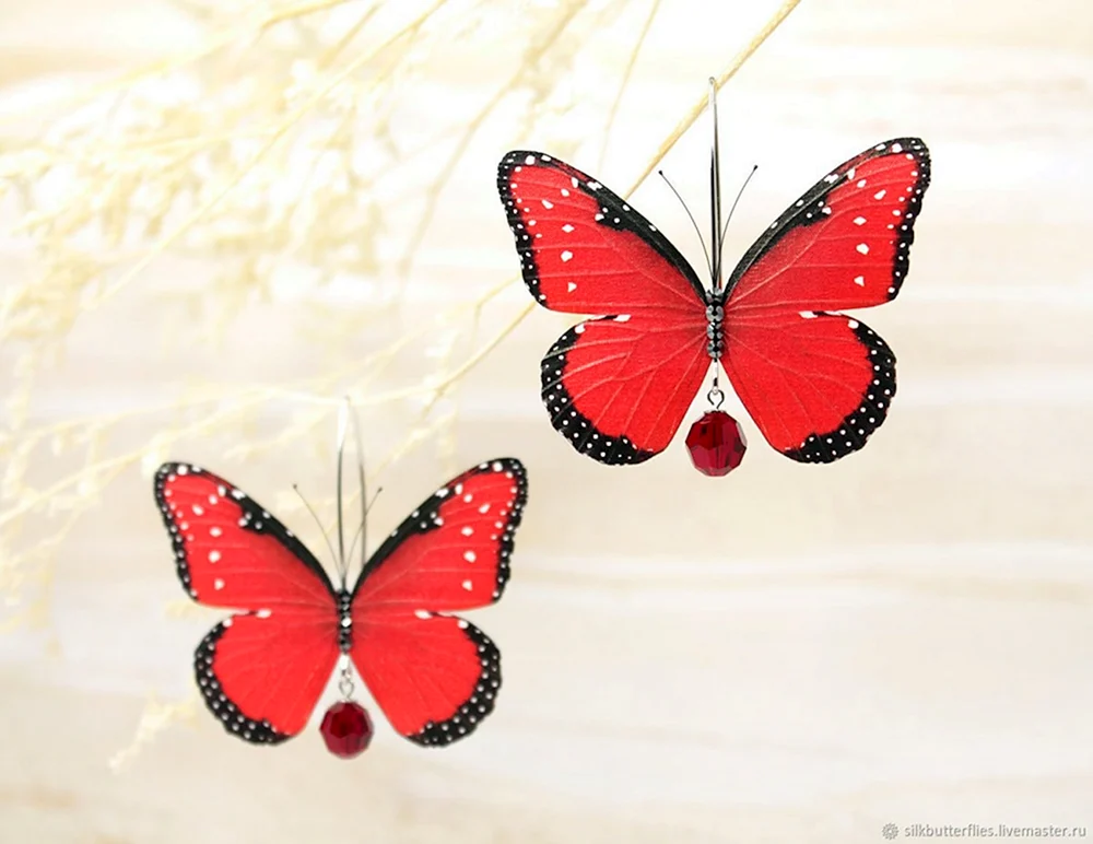 Papilio LOWI Segelbootfänger