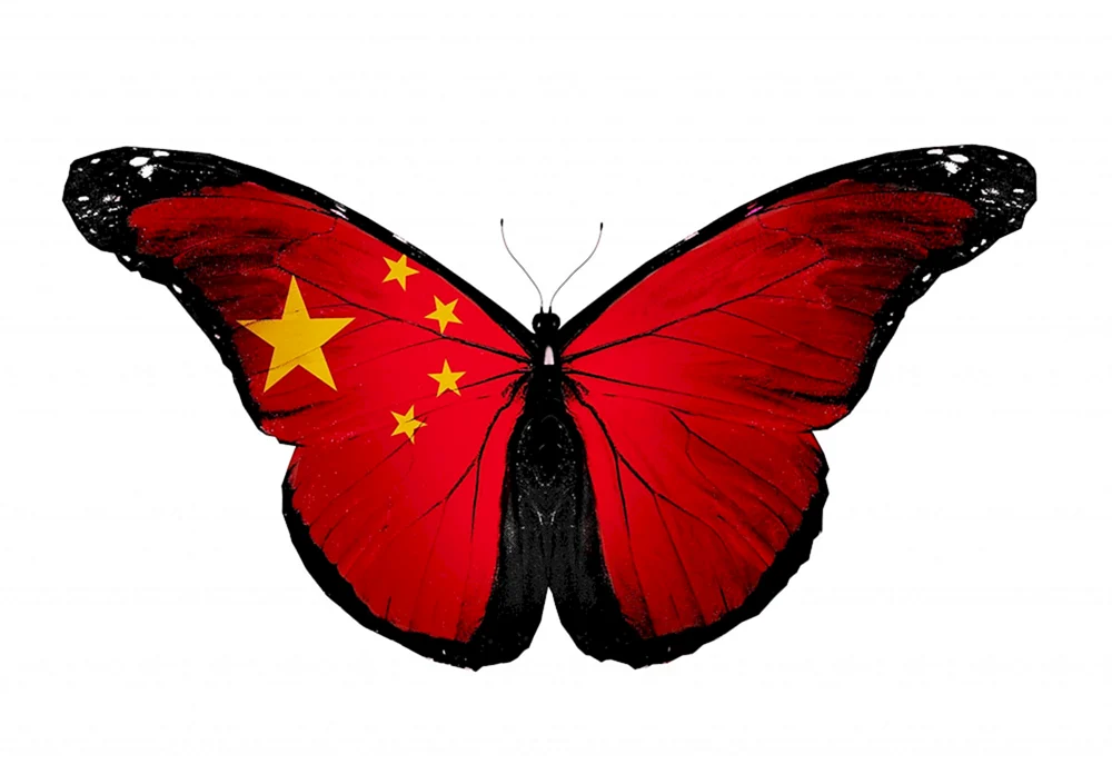 Cymothoe Schmetterling Sangaris