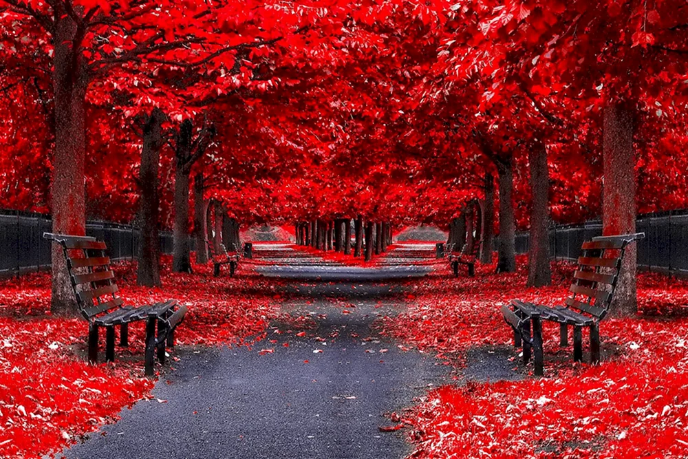 Schönes Rot