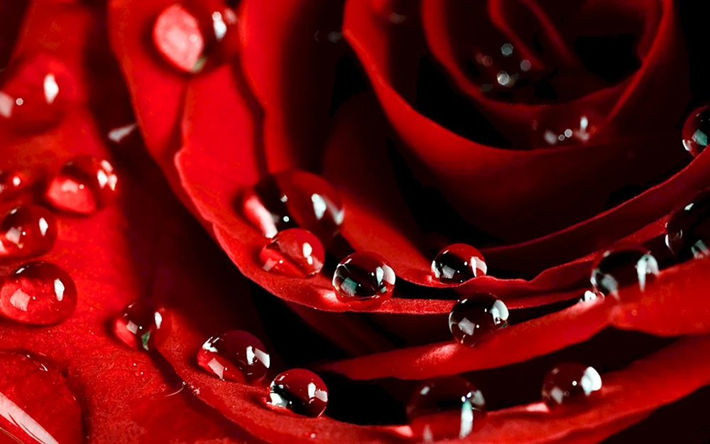 Rote Hintergrundbilder