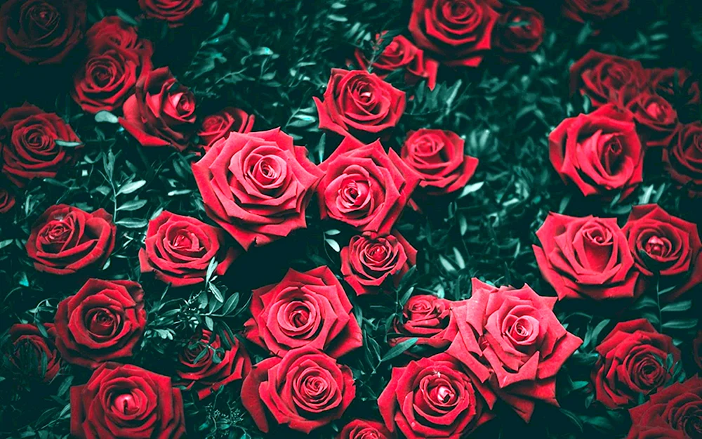 Schlichte Blumen