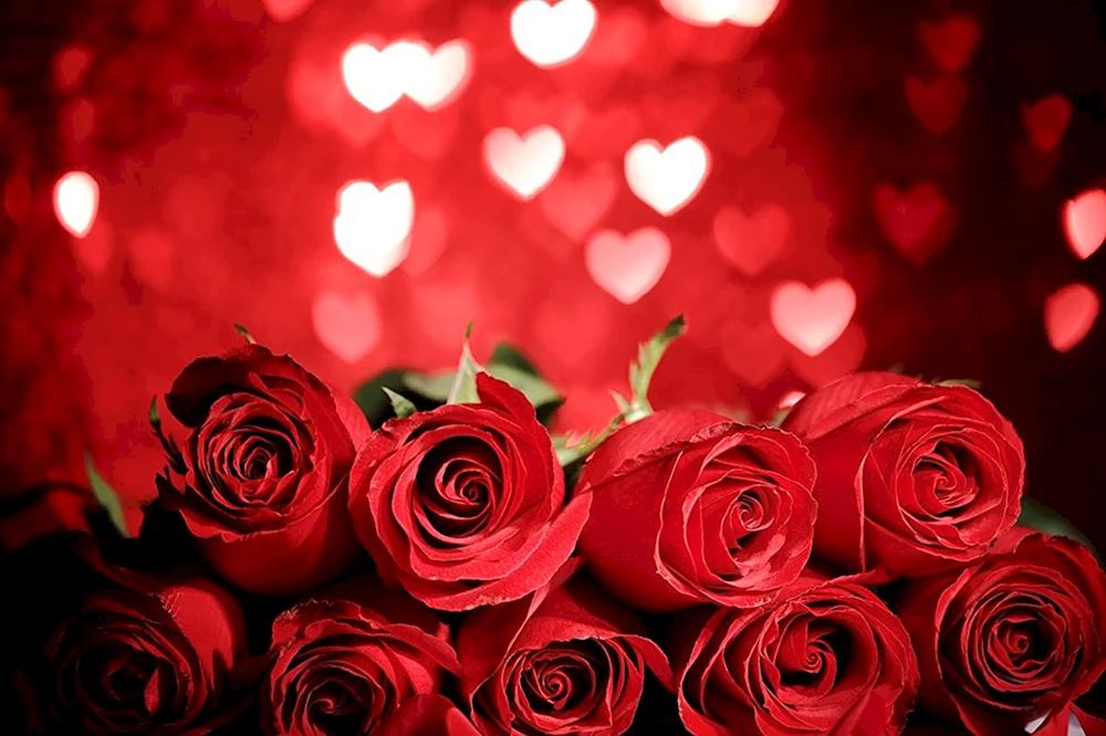 Rote Rosen