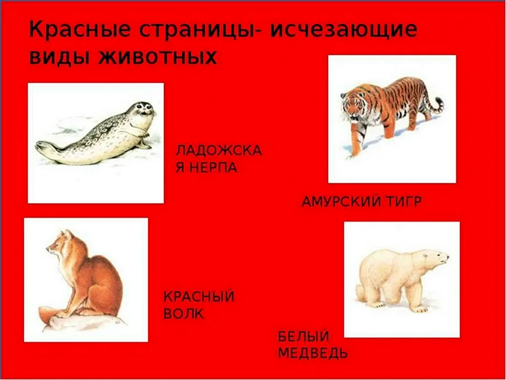 Seltene Tiere