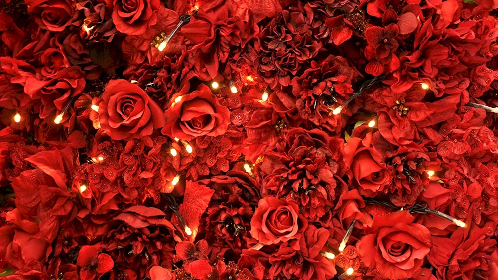 Rote Rosen