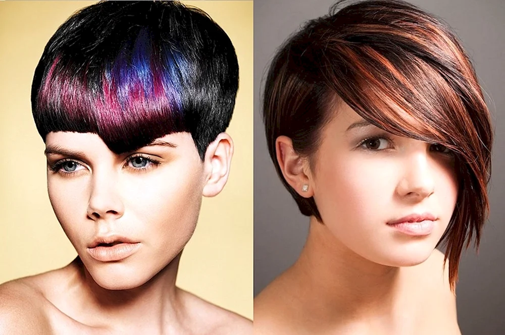 Färbung für Pixie Bob