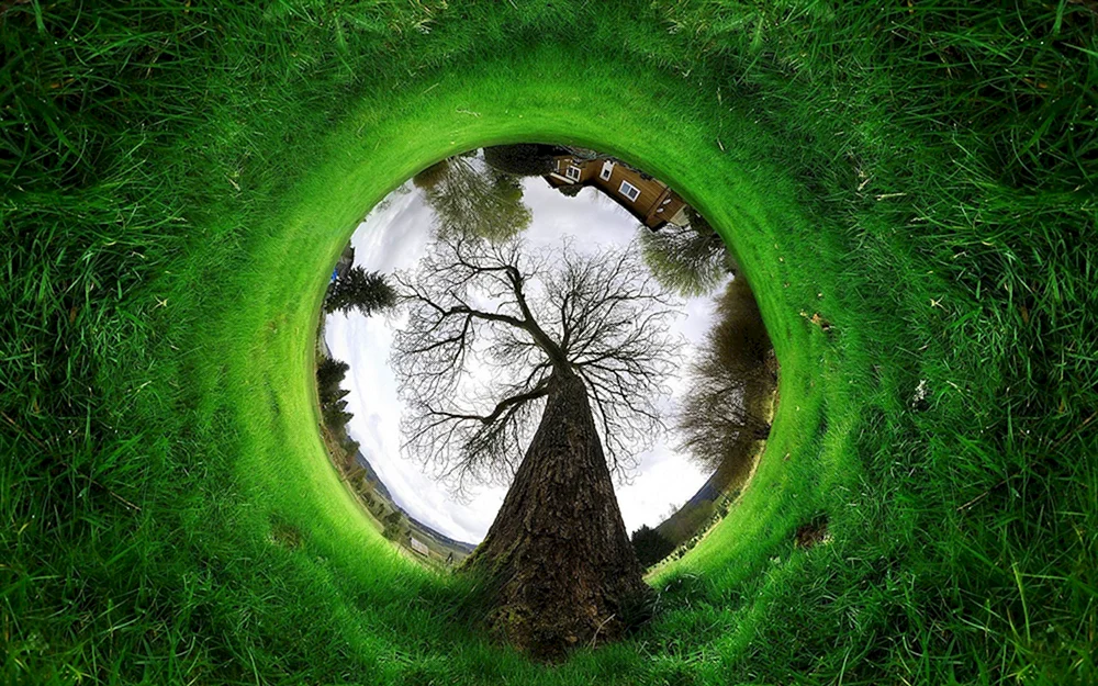 Kreative Landschaft.
