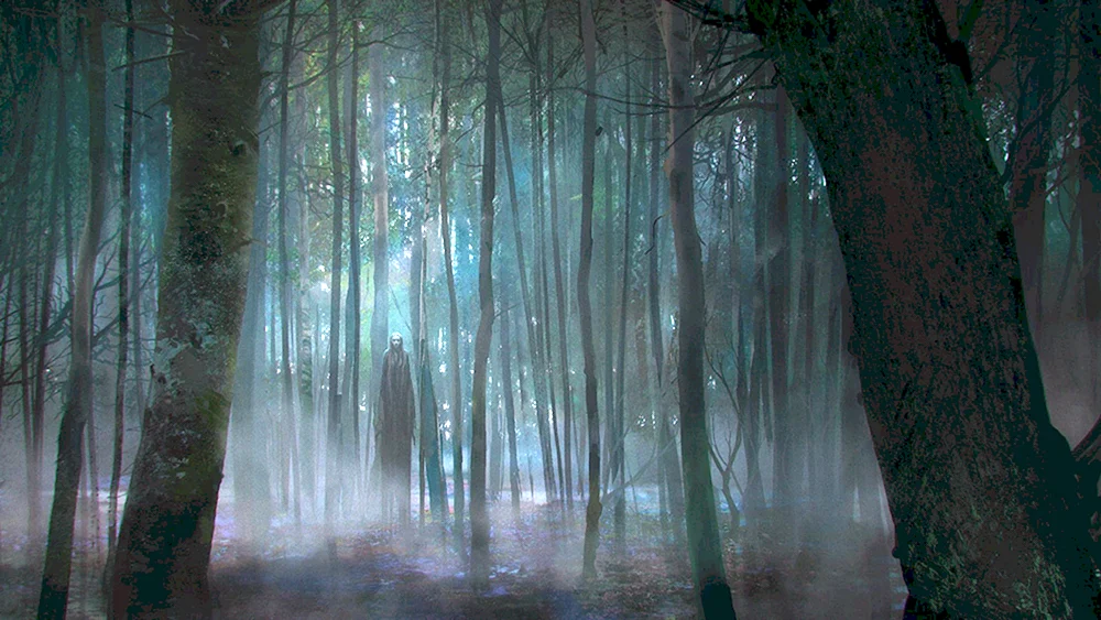 Dunkler Wald