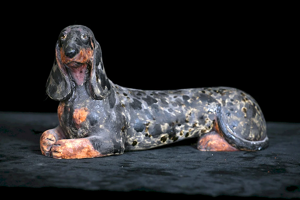 Kaninchendachhund. marmoriert