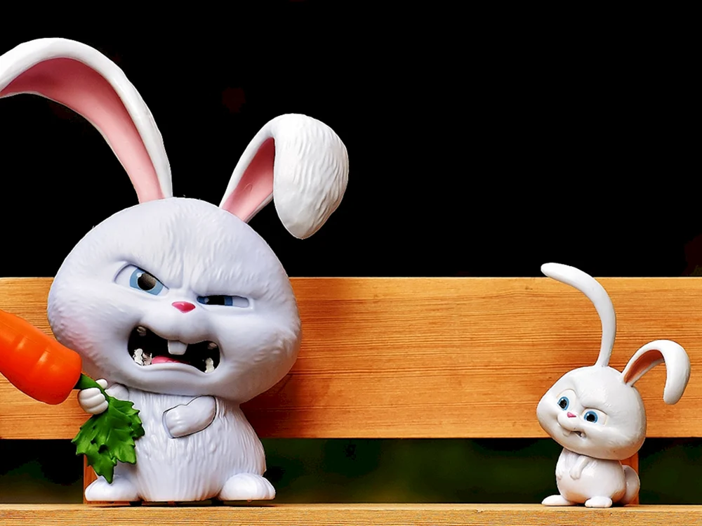 Geheimes Haustierleben Das geheime Leben der Haustiere Kaninchen verrückt Das geheime Leben der Haustiere Kaninchen verrückt Das geheime Leben der Haustiere Cartoon-Hase Das geheime Leben der Haustiere Schneeball-Hase Das geheime Leben der Haustiere 1 Das geheime Leben der Haustiere. Haustierhase