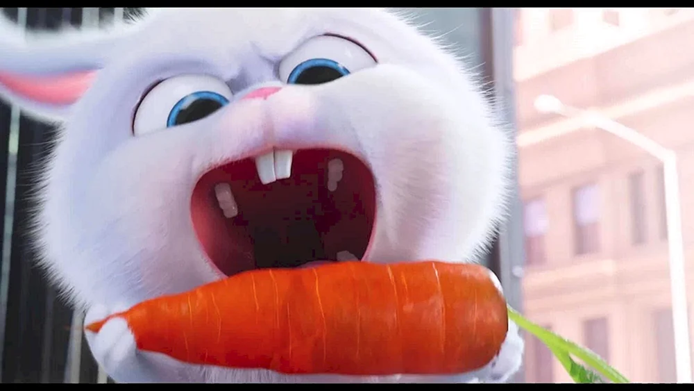 Das geheime Leben der Haustiere Hase