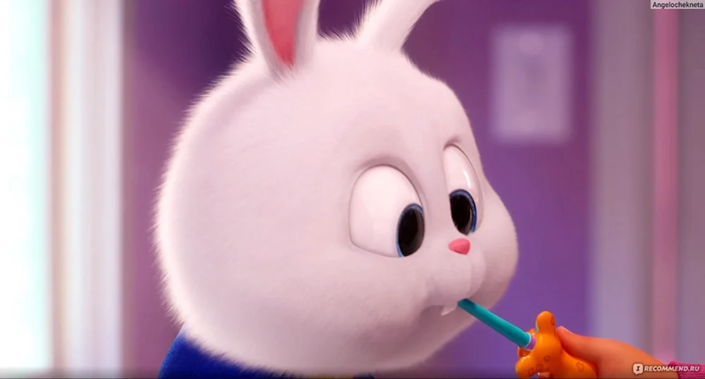 Das geheime Leben der Haustiere Hase Schneeball