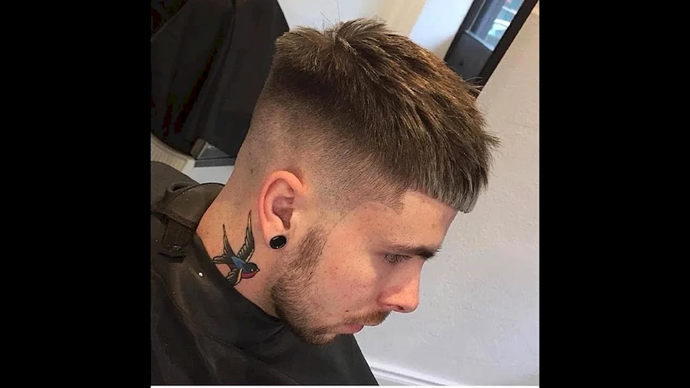Caesar Fade Halbbox