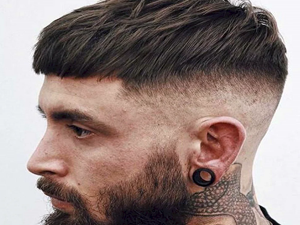 Crop Fade Haarschnitt. Undercat Quiff