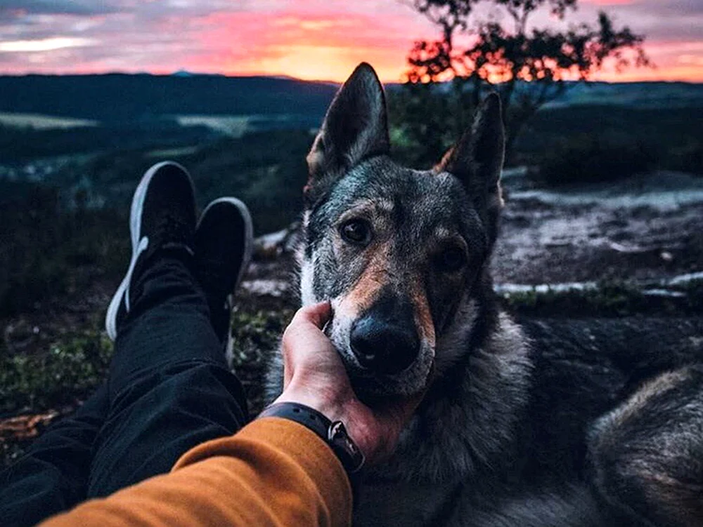 Coolen Fotos für Hintergrundbilder für Mädchen