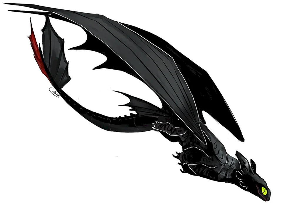 Flügel des Drachen Nachtschatten