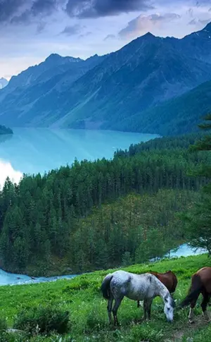Kucherlinskiye Seen Altai