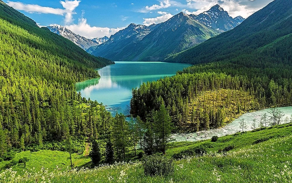 Kucherlinskiye Seen Altai