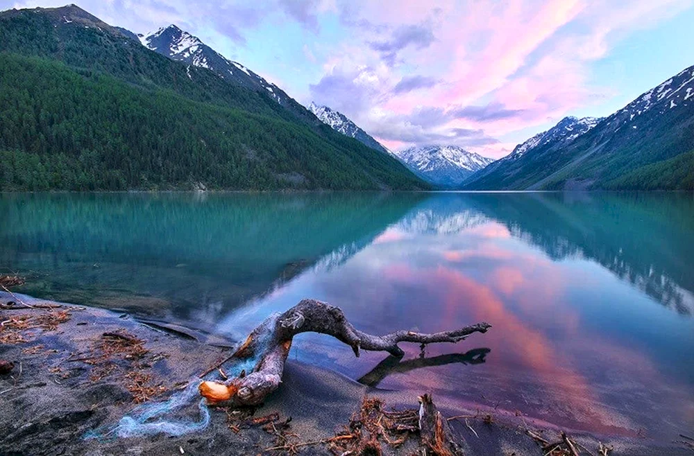 Kucherlinskiye Seen Altai