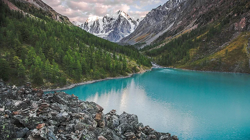 Kucherlinskiye Seen Seen Altai